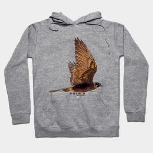 Brown Falcon_01C Hoodie